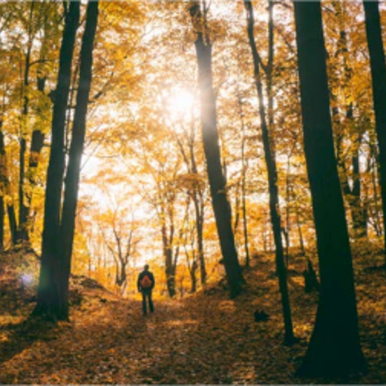 man in woods in autumn